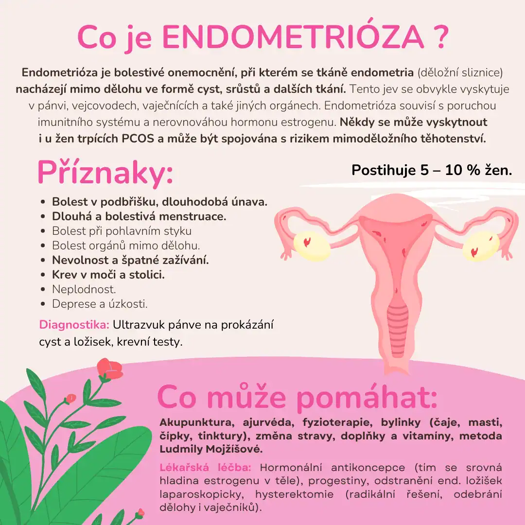 INDIÁNKY - 1. Nezisková organizace zabývající se (ne)plodností v ČR