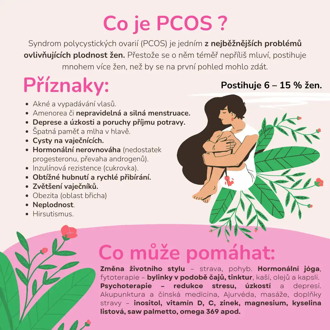 INDIÁNKY - 1. Nezisková organizace zabývající se (ne)plodností v ČR