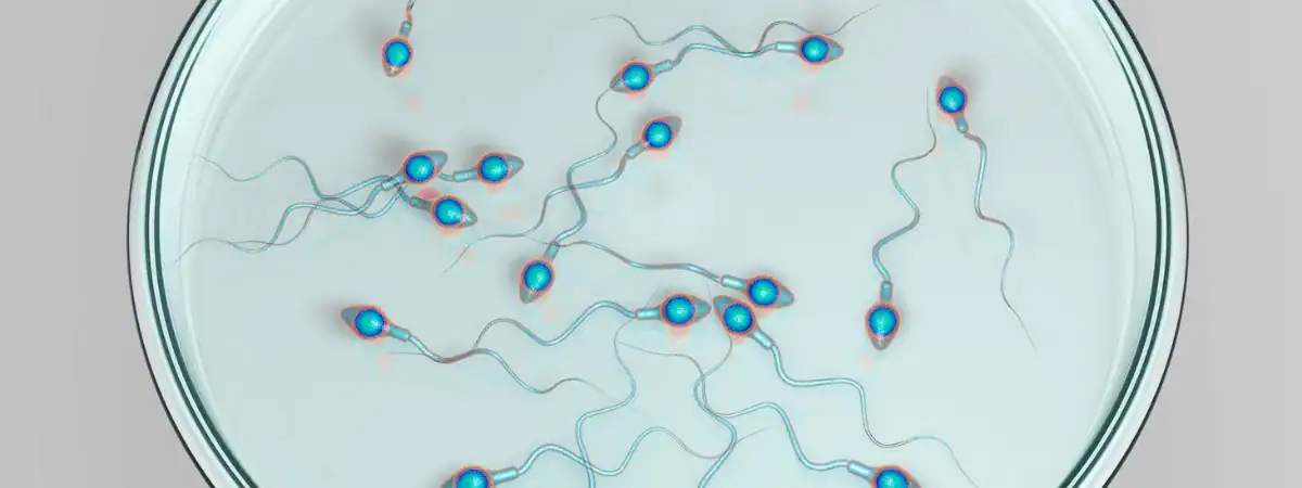 IVF 2. DÍL – JAK PROBÍHÁ UMĚLÉ OPLODNĚNÍ?