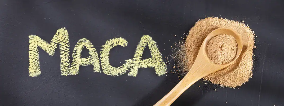 MACA PERUÁNSKÁ: SUPERPOTRAVINA S NEUVĚŘITELNOU PŘÍRODNÍ SILOU