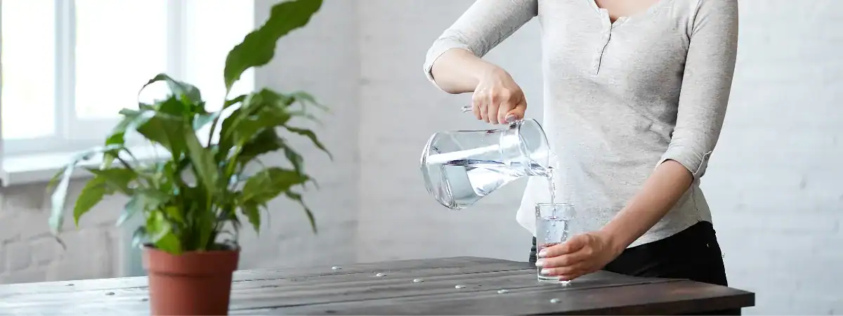 PROJDĚTE SPRÁVNOU DETOXIKACÍ KROK ZA KROKEM
