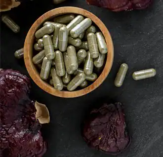 REISHI: PŘÍRODNÍ CESTA K PEVNÉMU ZDRAVÍ