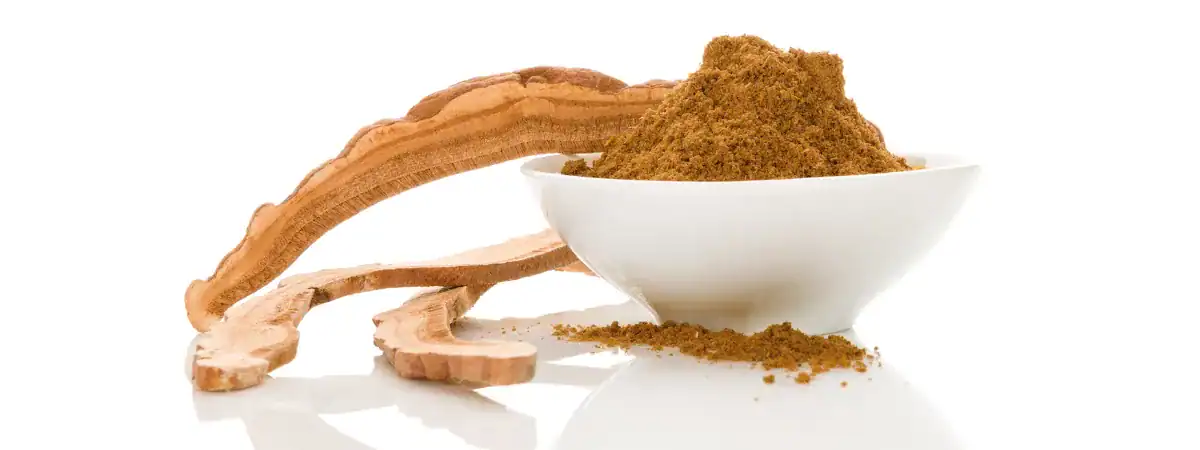REISHI: PŘÍRODNÍ CESTA K PEVNÉMU ZDRAVÍ