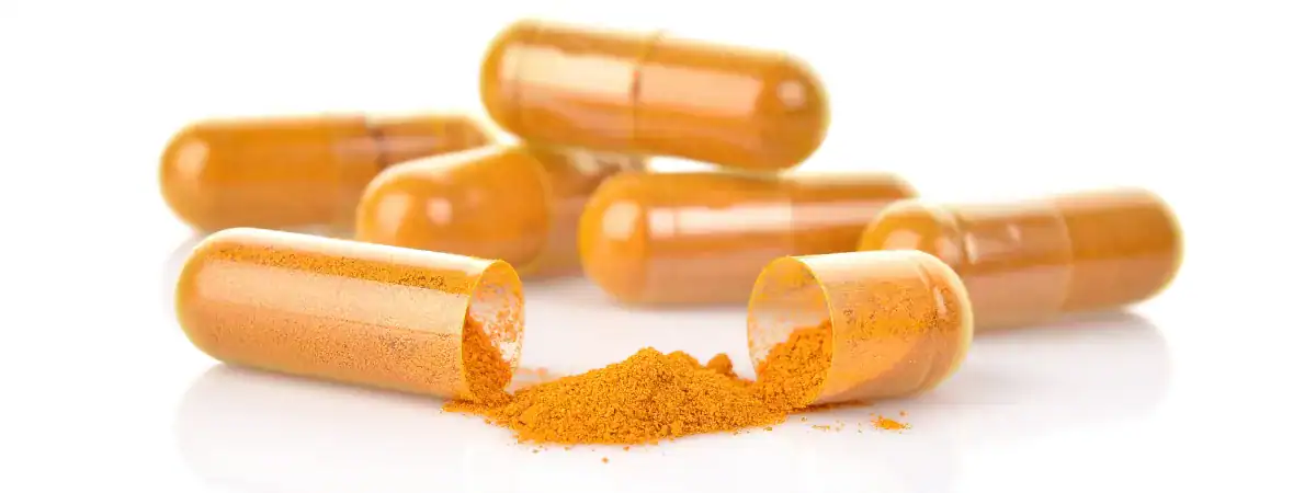 REISHI: PŘÍRODNÍ CESTA K PEVNÉMU ZDRAVÍ