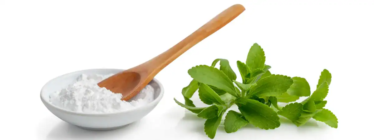 VÁNOČNÍ INSPIRACE: ZDRAVÉ PEČENÍ ZE STÉVIE